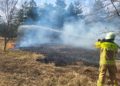 Brand in Sachsendorf am Südcampus der BTU Cottbus-Senftenberg; Foto: Blaulichtreport Lausitz