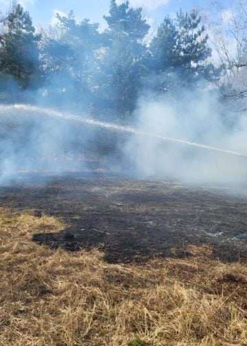 Brand in Sachsendorf am Südcampus der BTU Cottbus-Senftenberg; Foto: Blaulichtreport Lausitz