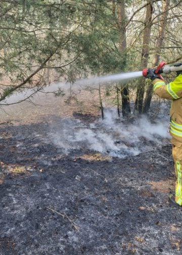 Brand in Sachsendorf am Südcampus der BTU Cottbus-Senftenberg; Foto: Blaulichtreport Lausitz