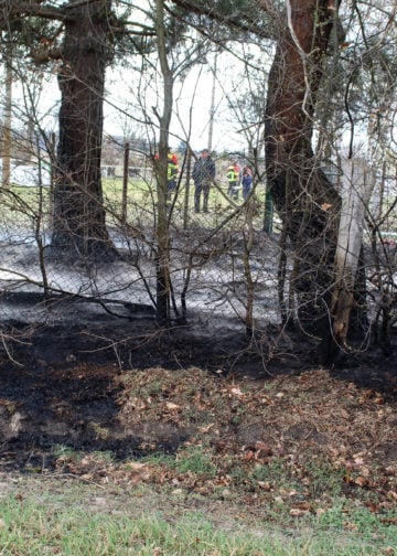 Flächenbrand in Klein Gaglow; Foto: Blaulichtreport Lausitz