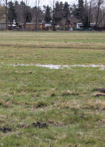 Dammbruch in Ströbitz, Foto: Blaulichtreport Lausitz