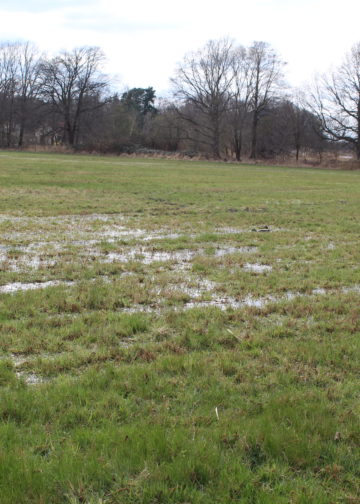 Dammbruch in Ströbitz, Foto: Blaulichtreport Lausitz