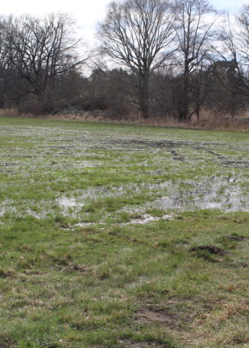 Dammbruch in Ströbitz, Foto: Blaulichtreport Lausitz