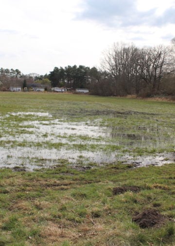 Dammbruch in Ströbitz, Foto: Blaulichtreport Lausitz