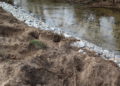 Dammbruch in Ströbitz, Foto: Blaulichtreport Lausitz