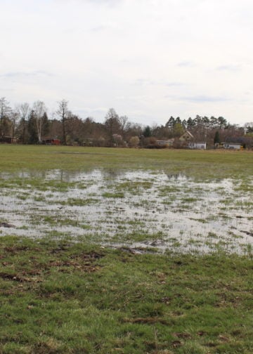 Dammbruch in Ströbitz, Foto: Blaulichtreport Lausitz