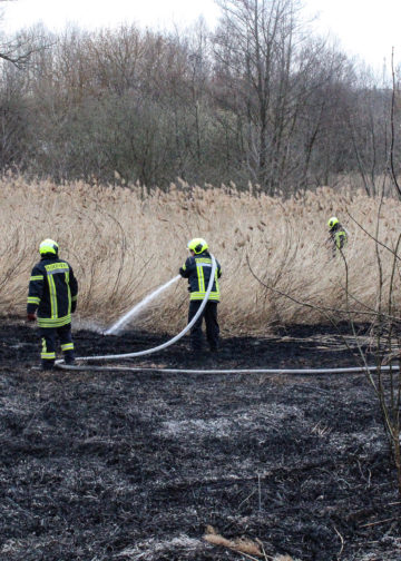 Flächenbrand in Spremberg-Trattendorf; Foto: Blaulichtreport Lausitz