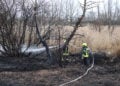 Flächenbrand in Spremberg-Trattendorf; Foto: Blaulichtreport Lausitz