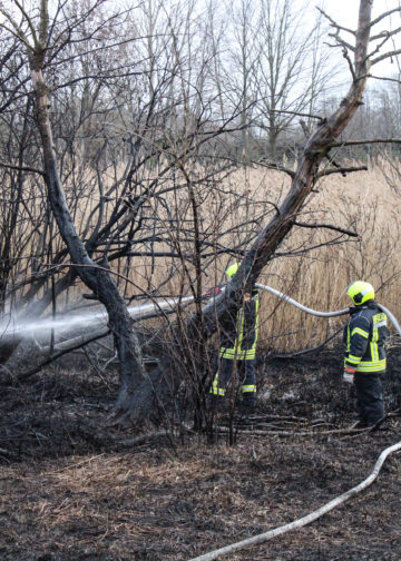 Flächenbrand in Spremberg-Trattendorf; Foto: Blaulichtreport Lausitz