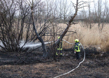 Flächenbrand in Spremberg-Trattendorf; Foto: Blaulichtreport Lausitz