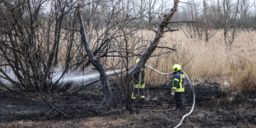 Flächenbrand in Spremberg-Trattendorf; Foto: Blaulichtreport Lausitz
