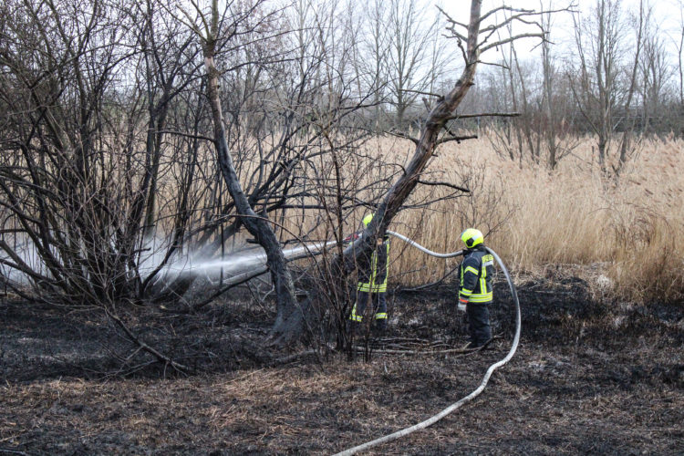 Flächenbrand in Spremberg-Trattendorf; Foto: Blaulichtreport Lausitz