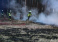 Größerer Waldbrand in Gosda; Foto: Blaulichtreport Lausitz