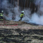 Größerer Waldbrand in Gosda; Foto: Blaulichtreport Lausitz