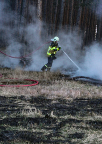 Größerer Waldbrand in Gosda; Foto: Blaulichtreport Lausitz