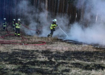 Größerer Waldbrand in Gosda; Foto: Blaulichtreport Lausitz