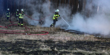 Größerer Waldbrand in Gosda; Foto: Blaulichtreport Lausitz