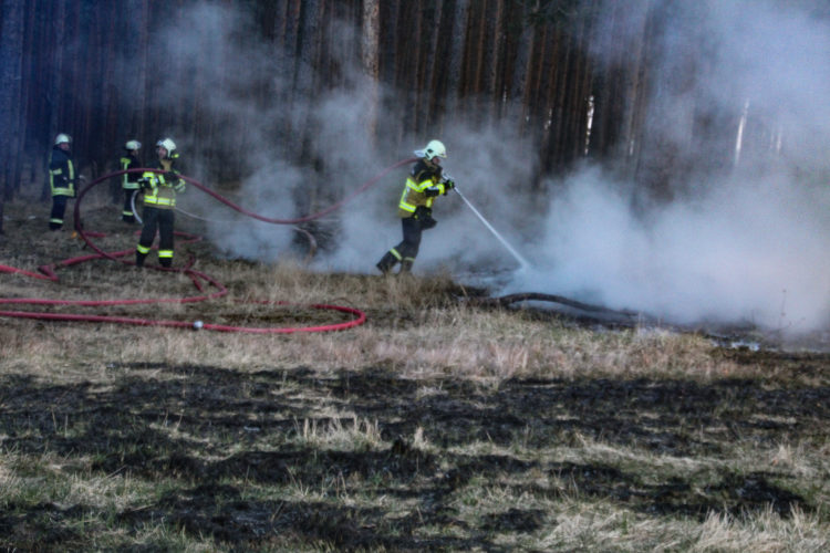 Größerer Waldbrand in Gosda; Foto: Blaulichtreport Lausitz