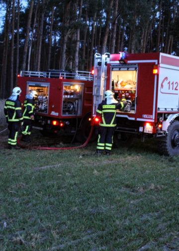 Größerer Waldbrand in Gosda; Foto: Blaulichtreport Lausitz