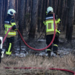 Größerer Waldbrand in Gosda; Foto: Blaulichtreport Lausitz