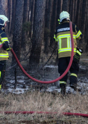 Größerer Waldbrand in Gosda; Foto: Blaulichtreport Lausitz