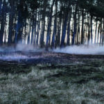 Größerer Waldbrand in Gosda; Foto: Blaulichtreport Lausitz