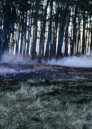 Größerer Waldbrand in Gosda; Foto: Blaulichtreport Lausitz
