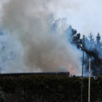 Gartenlaubenbrand in Bühlow; Foto: Blaulichtreport Lausitz