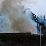 Gartenlaubenbrand in Bühlow; Foto: Blaulichtreport Lausitz