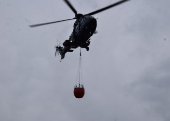Waldbrand bei Fürstlich Drehna; Foto: Blaulichtreport Lausitz