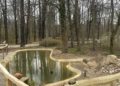 Neugestaltung im Tierpark Cottbus. Kapuzinergehege, Schlangenspielplatz, Gaststätte
