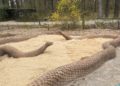 Neugestaltung im Tierpark Cottbus. Kapuzinergehege, Schlangenspielplatz, Gaststätte