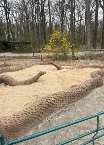 Neugestaltung im Tierpark Cottbus. Kapuzinergehege, Schlangenspielplatz, Gaststätte