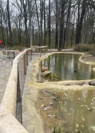 Neugestaltung im Tierpark Cottbus. Kapuzinergehege, Schlangenspielplatz, Gaststätte
