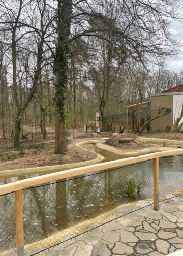 Neugestaltung im Tierpark Cottbus. Kapuzinergehege, Schlangenspielplatz, Gaststätte