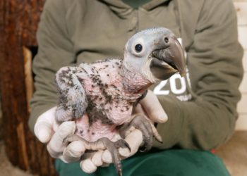 Zoo Hoyerswerda_Stefanie Jürß