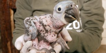 Zoo Hoyerswerda_Stefanie Jürß