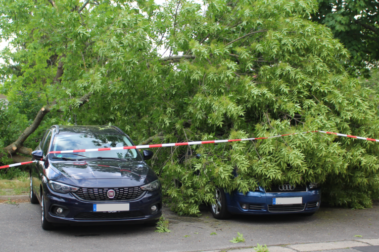 Unwetter Emmelinde über der Lausitz, Foto: Blaulichtreport Lausitz