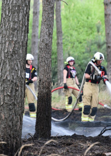1,5ha Waldbrand an der Dubener Platte bei Luckau forderte Feuerwehren; Foto: Blaulichtreport Lausitz