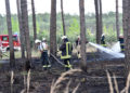 1,5ha Waldbrand an der Dubener Platte bei Luckau forderte Feuerwehren; Foto: Blaulichtreport Lausitz