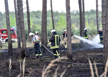 1,5ha Waldbrand an der Dubener Platte bei Luckau forderte Feuerwehren; Foto: Blaulichtreport Lausitz