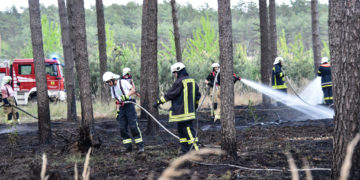 1,5ha Waldbrand an der Dubener Platte bei Luckau forderte Feuerwehren; Foto: Blaulichtreport Lausitz