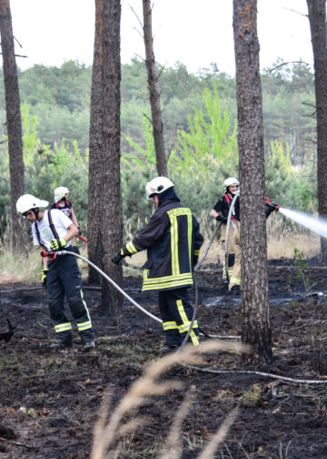 1,5ha Waldbrand an der Dubener Platte bei Luckau forderte Feuerwehren; Foto: Blaulichtreport Lausitz