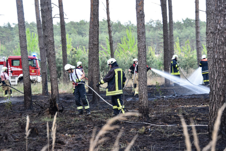 1,5ha Waldbrand an der Dubener Platte bei Luckau forderte Feuerwehren; Foto: Blaulichtreport Lausitz