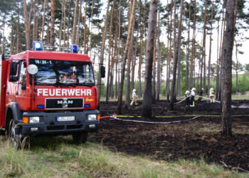 Feuerwehreinsatz Anfang Mai 2022 bei einem Waldbrand bei Luckau, Foto: Blaulichtreport Lausitz