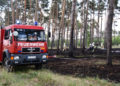 1,5ha Waldbrand an der Dubener Platte bei Luckau forderte Feuerwehren; Foto: Blaulichtreport Lausitz