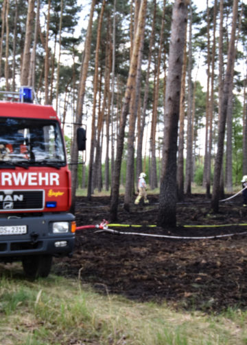 1,5ha Waldbrand an der Dubener Platte bei Luckau forderte Feuerwehren; Foto: Blaulichtreport Lausitz