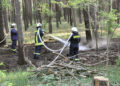 Waldbrand Nordstrand Stausee bei Klein Döbbern; Foto: Blaulichtreport Lausitz