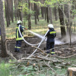 Waldbrand Nordstrand Stausee bei Klein Döbbern; Foto: Blaulichtreport Lausitz