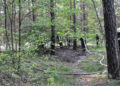 Waldbrand Nordstrand Stausee bei Klein Döbbern; Foto: Blaulichtreport Lausitz